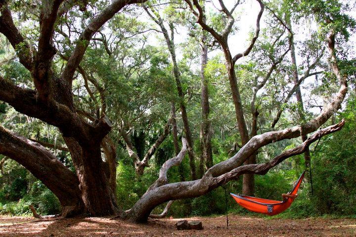 Ocean Walk Resort 1Br Mgr American Dream St. Simons Island Bagian luar foto